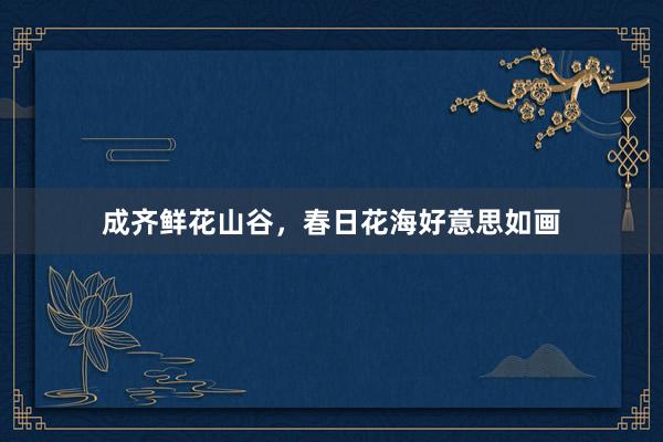成齐鲜花山谷，春日花海好意思如画