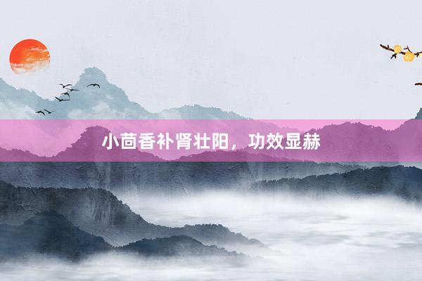 小茴香补肾壮阳，功效显赫