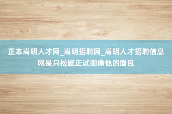 正本嵩明人才网_嵩明招聘网_嵩明人才招聘信息网是只松鼠正试图偷他的面包